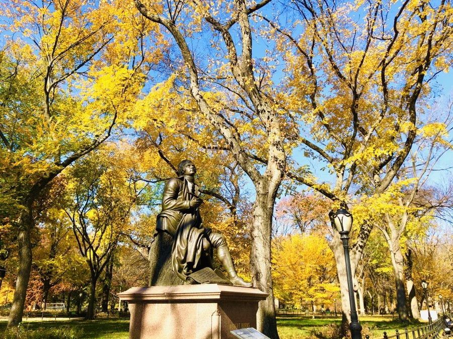 IMG_4243.jpg?type=w966