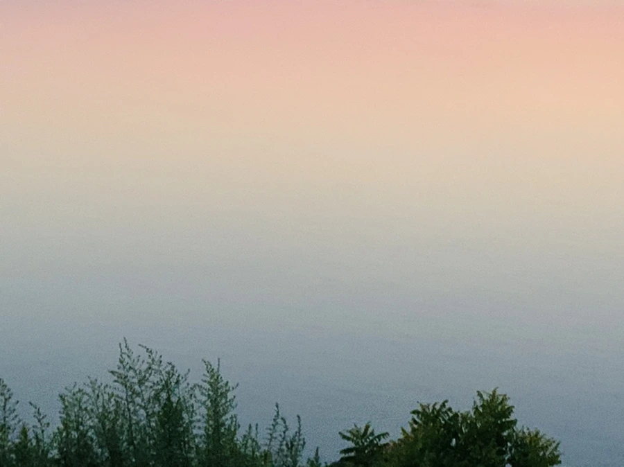 IMG_1828.jpg?type=w966