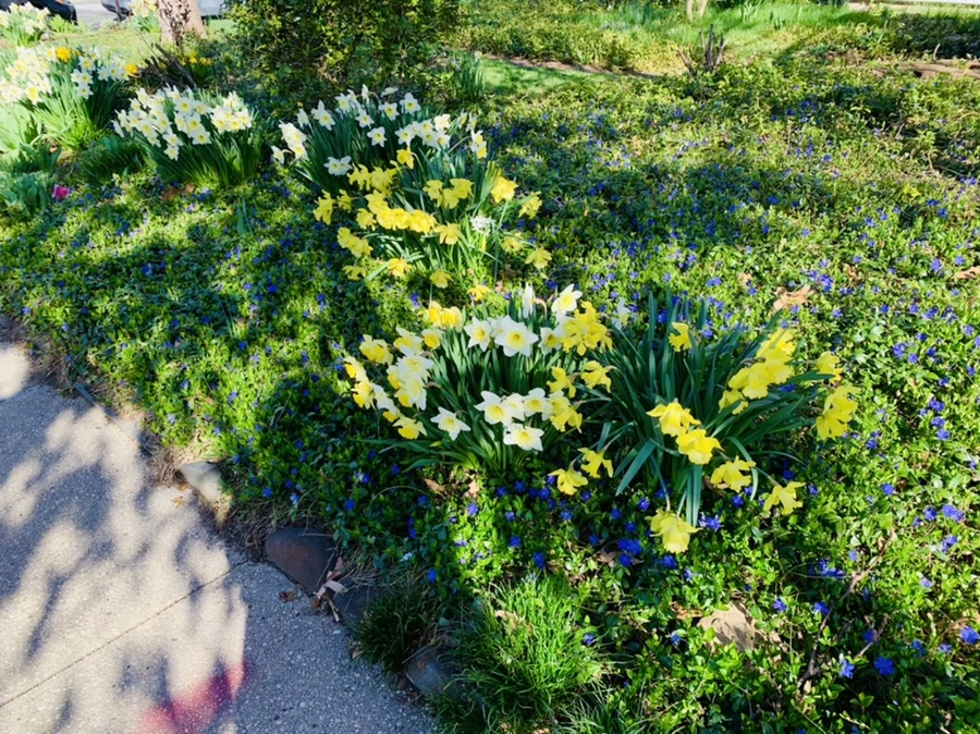 IMG_7503.jpg?type=w966