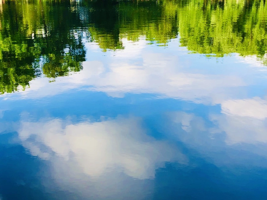 IMG_2939.jpg?type=w966