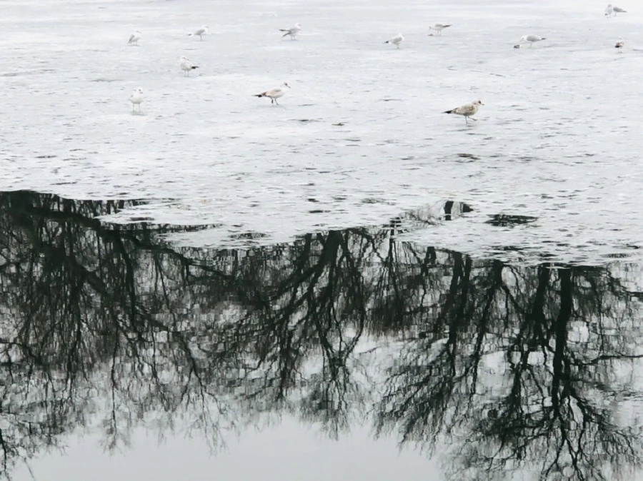 IMG_5515.jpg?type=w966