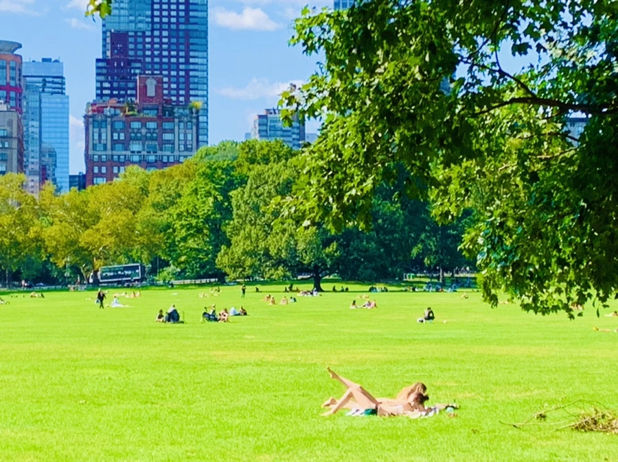 IMG_9666.jpg?type=w966