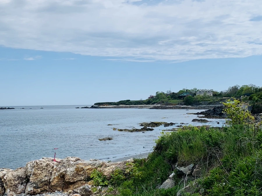 IMG_2756.jpg?type=w966