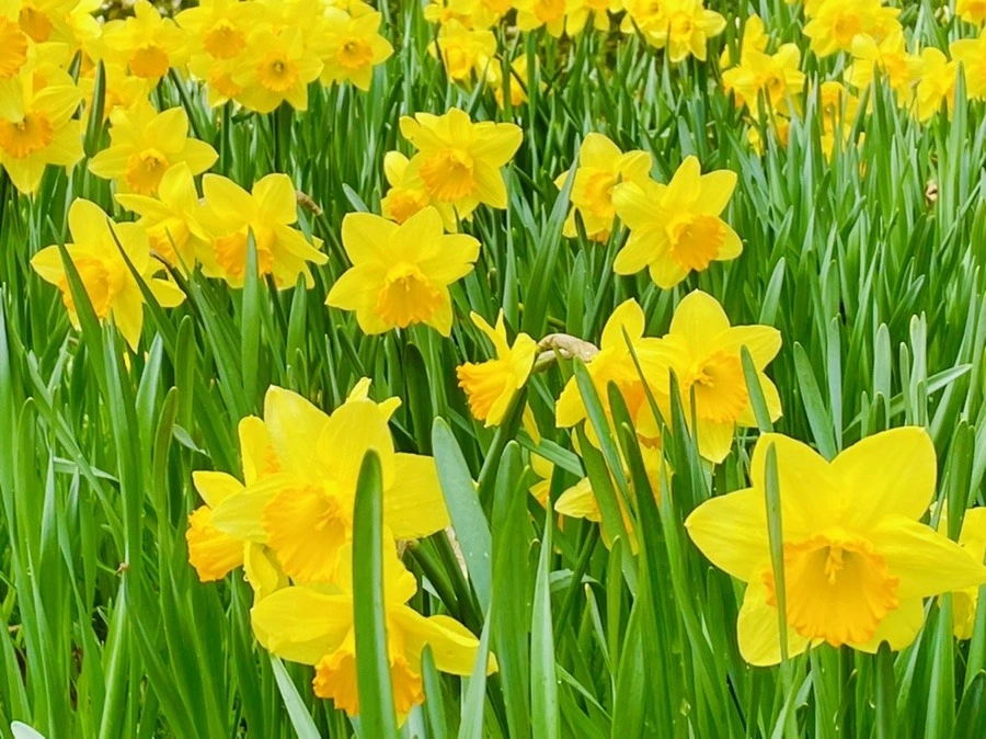 X13VbwfhkapCo4NcMmUtwjQu7dw