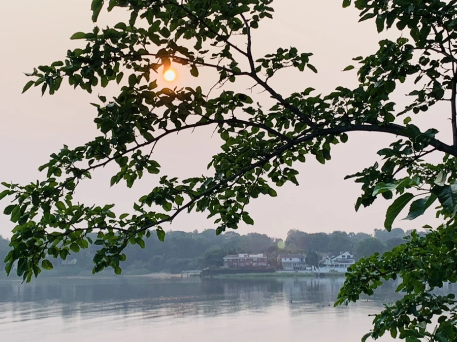 IMG_8457.jpg?type=w966