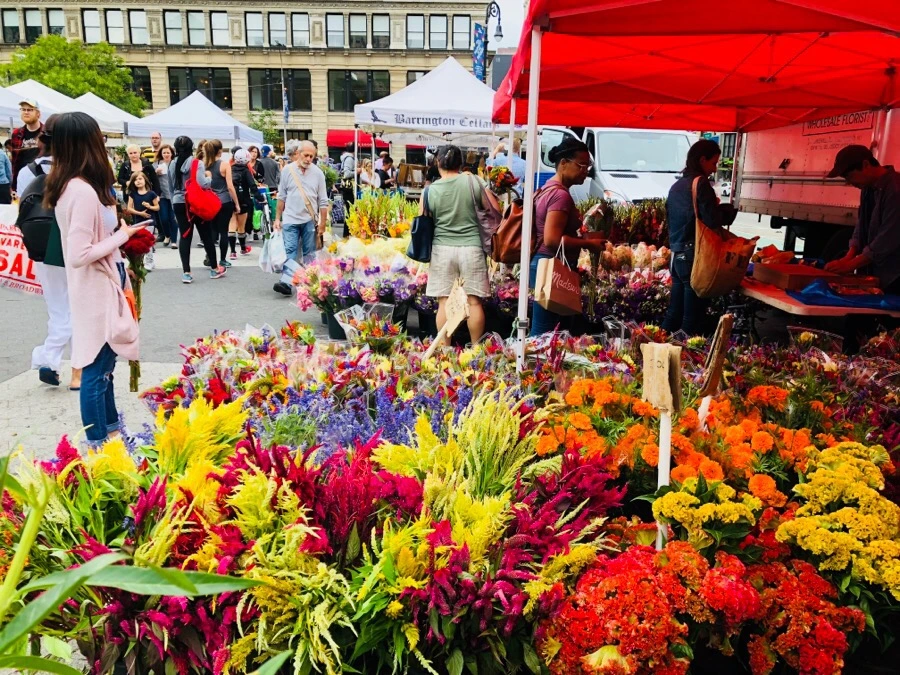 IMG_4332.jpg?type=w966