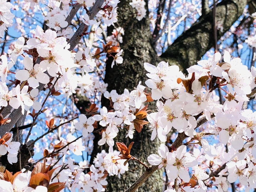 IMG_7963.jpg?type=w966