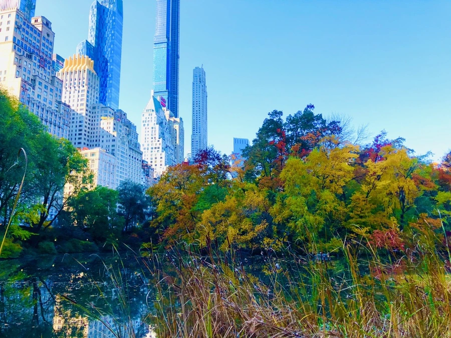 IMG_3762.jpg?type=w966