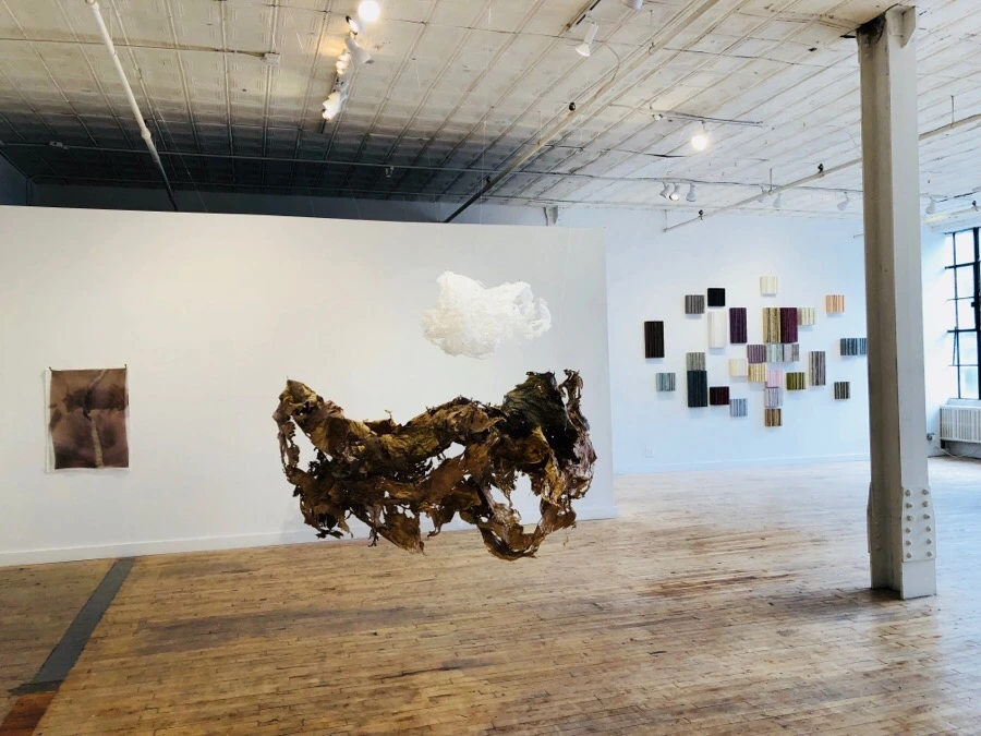 IMG_6331.jpg?type=w966