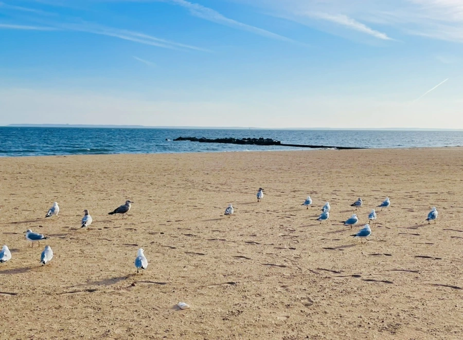 IMG_5103.jpg?type=w966