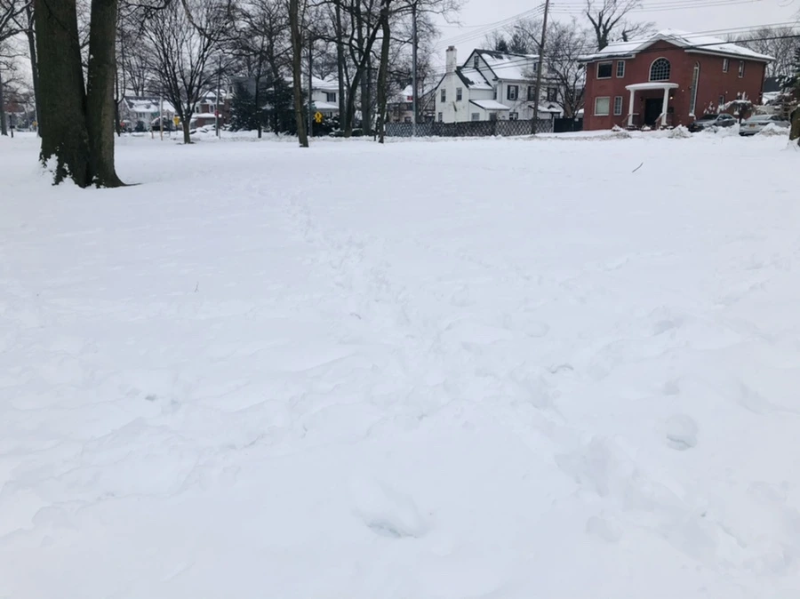 IMG_1550.jpg?type=w966