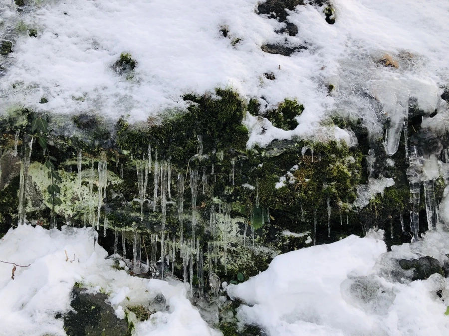 IMG_7388.jpg?type=w966