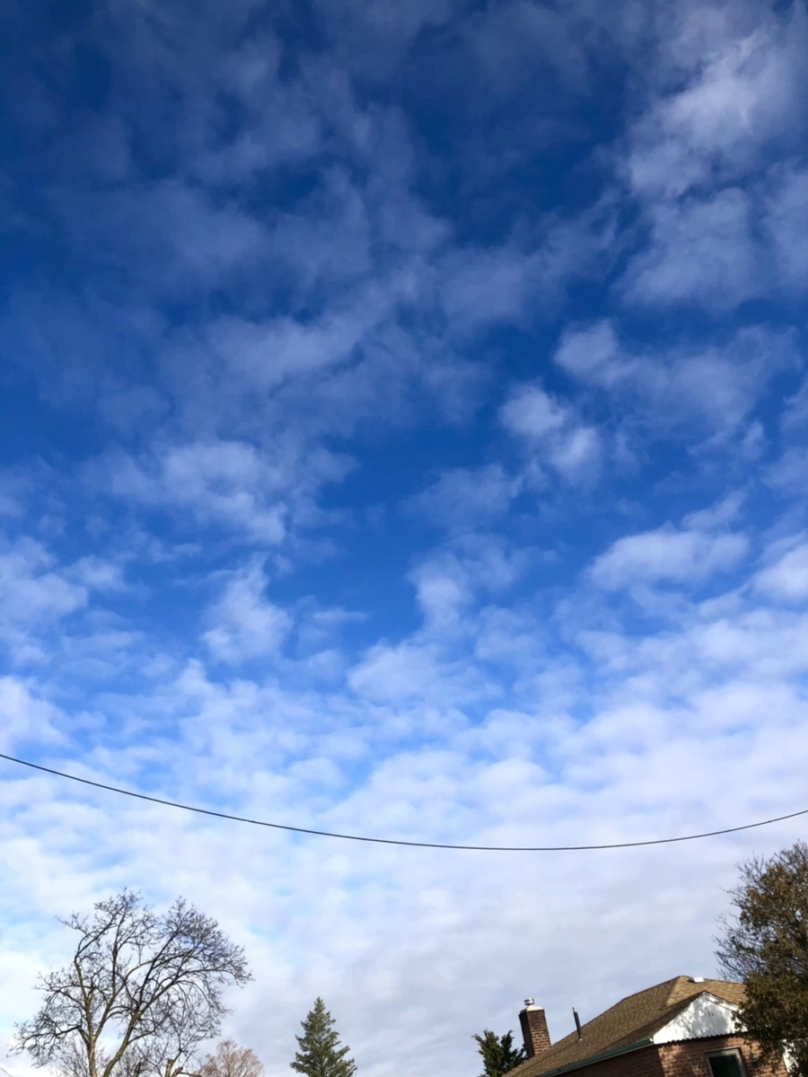 IMG_9844.jpg?type=w966