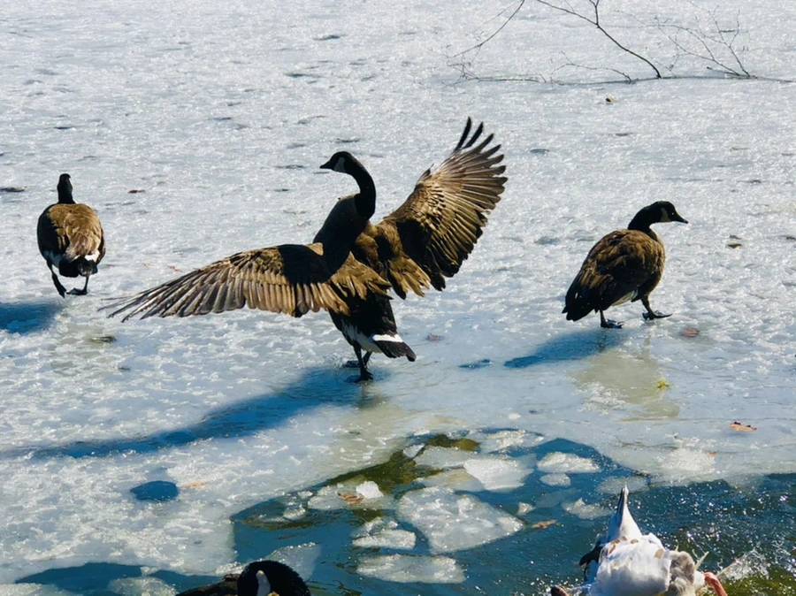 IMG_5303.jpg?type=w966