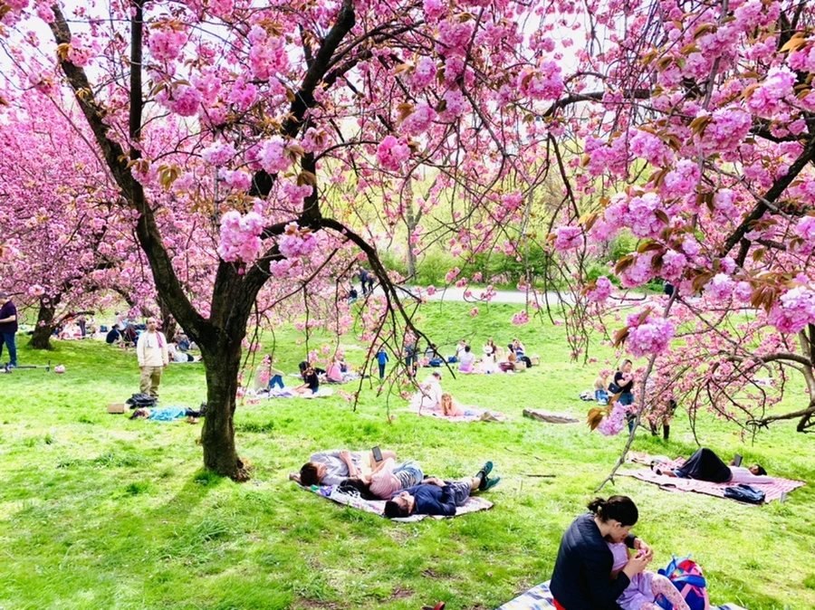 IMG_5194.jpg?type=w966