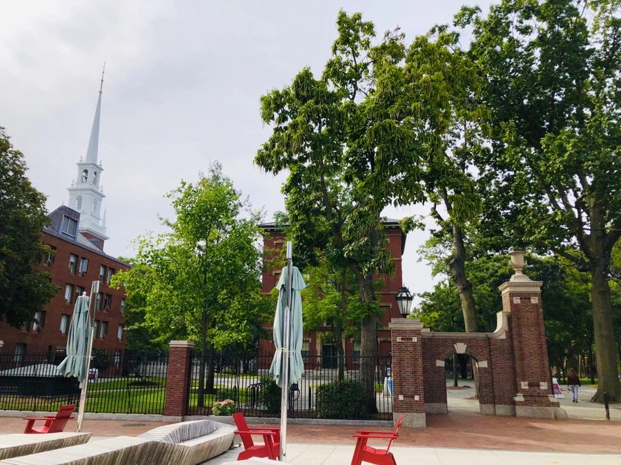 IMG_0549.jpg?type=w966