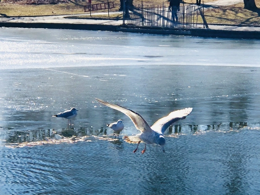 IMG_6830.jpg?type=w966