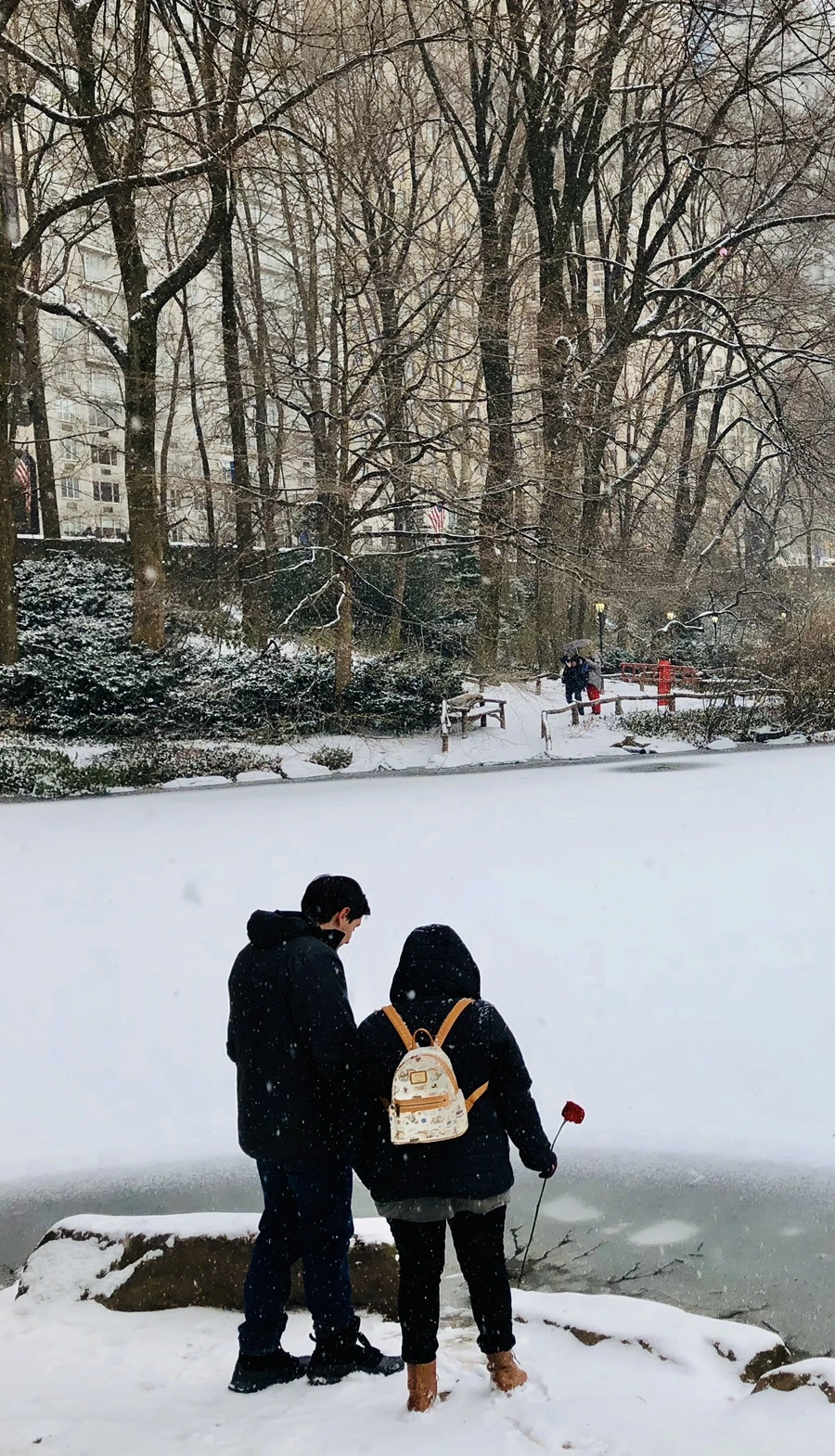 IMG_3732.jpg?type=w966