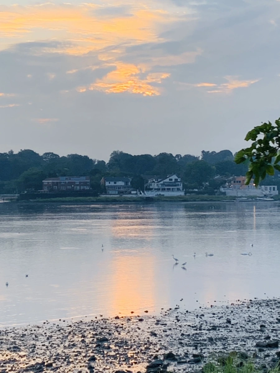 IMG_8196.jpg?type=w966