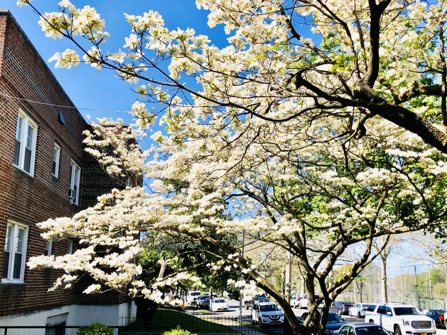 IMG_7289.jpg?type=w966