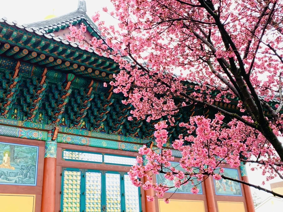 IMG_5283.jpg?type=w966