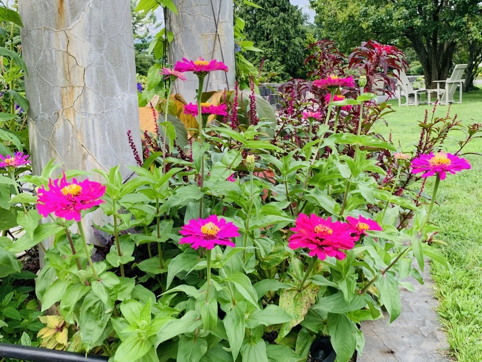 IMG_9372.jpg?type=w966