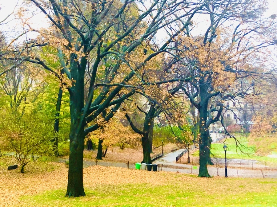 IMG_5738.jpg?type=w966