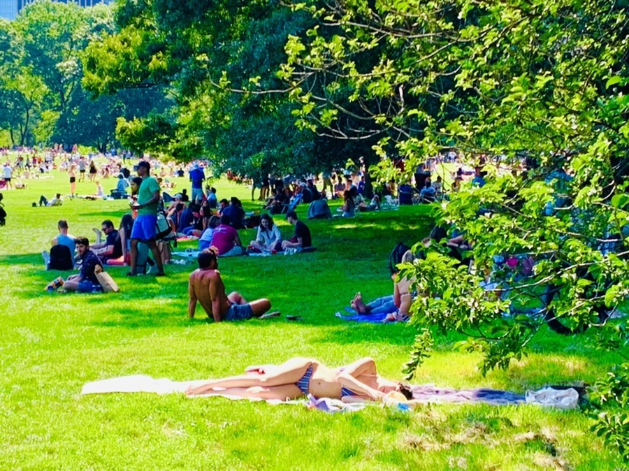 IMG_4418.jpg?type=w966