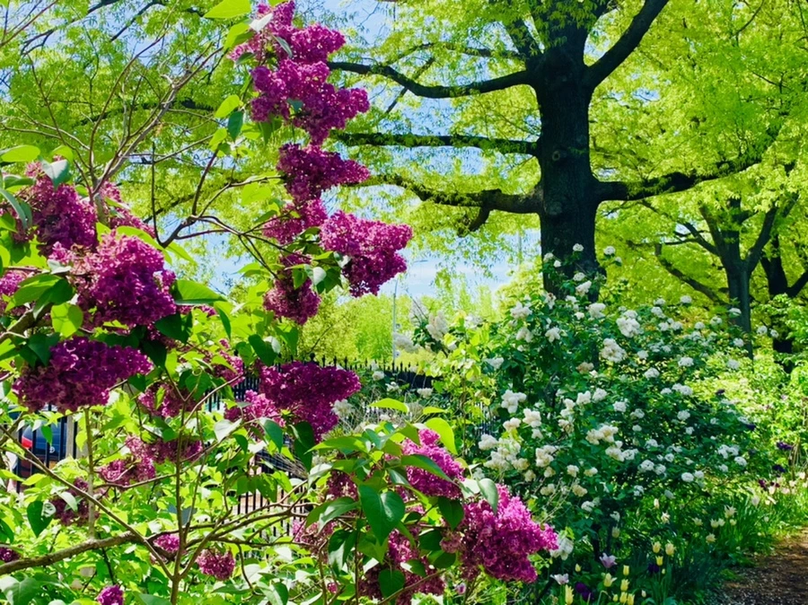 IMG_1134.jpg?type=w966