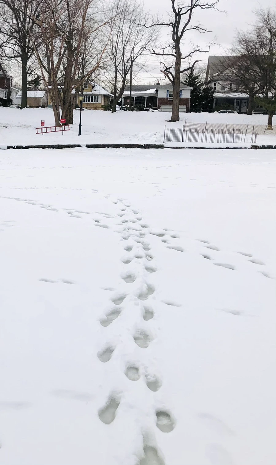 IMG_2606.jpg?type=w966