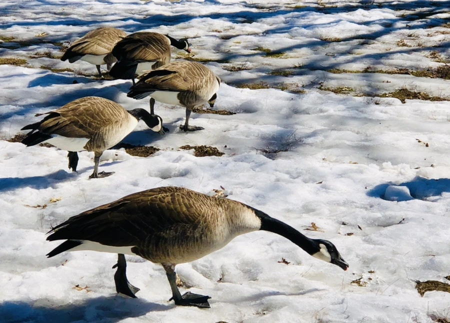 IMG_4700.jpg?type=w966