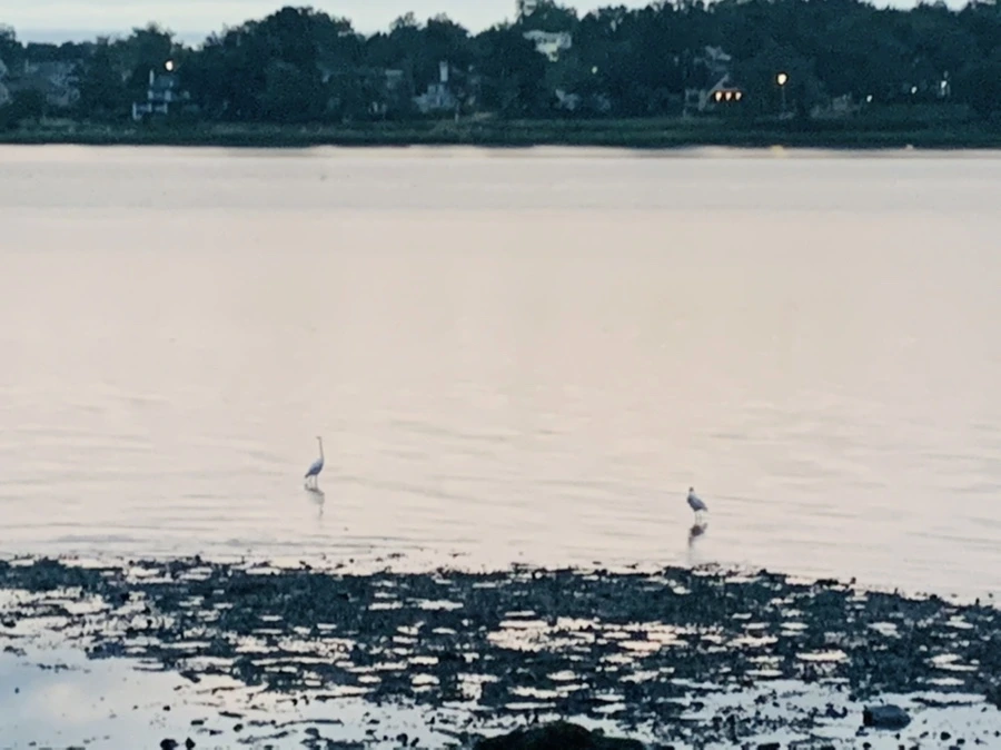 IMG_9547.jpg?type=w966