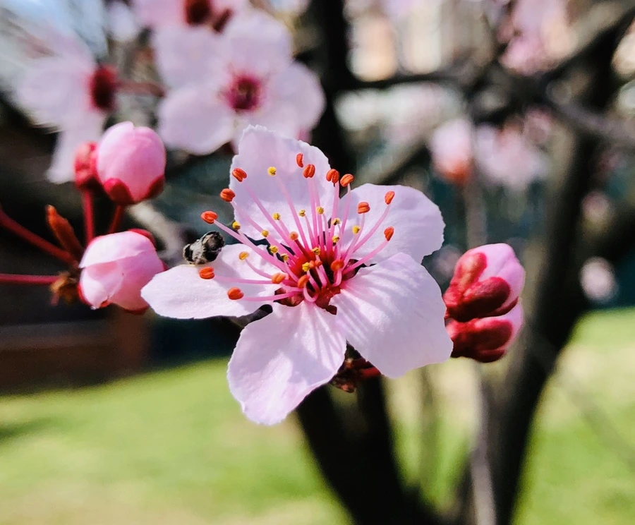 IMG_6599.jpg?type=w966