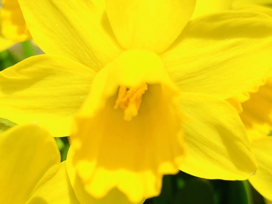 IMG_3396.jpg?type=w966