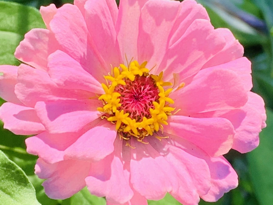 IMG_8734.jpg?type=w966