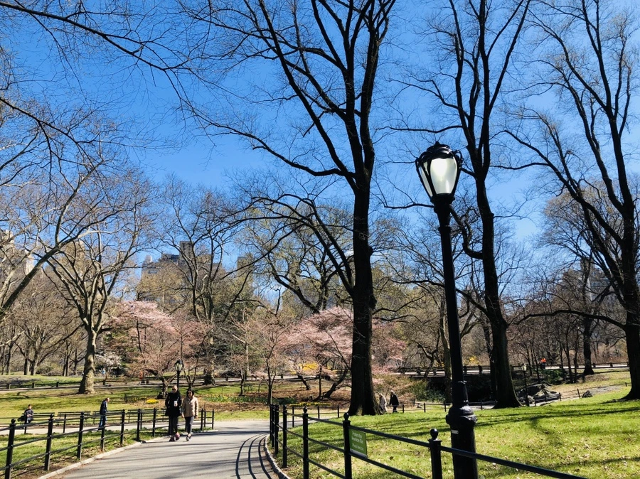 IMG_6639.jpg?type=w966