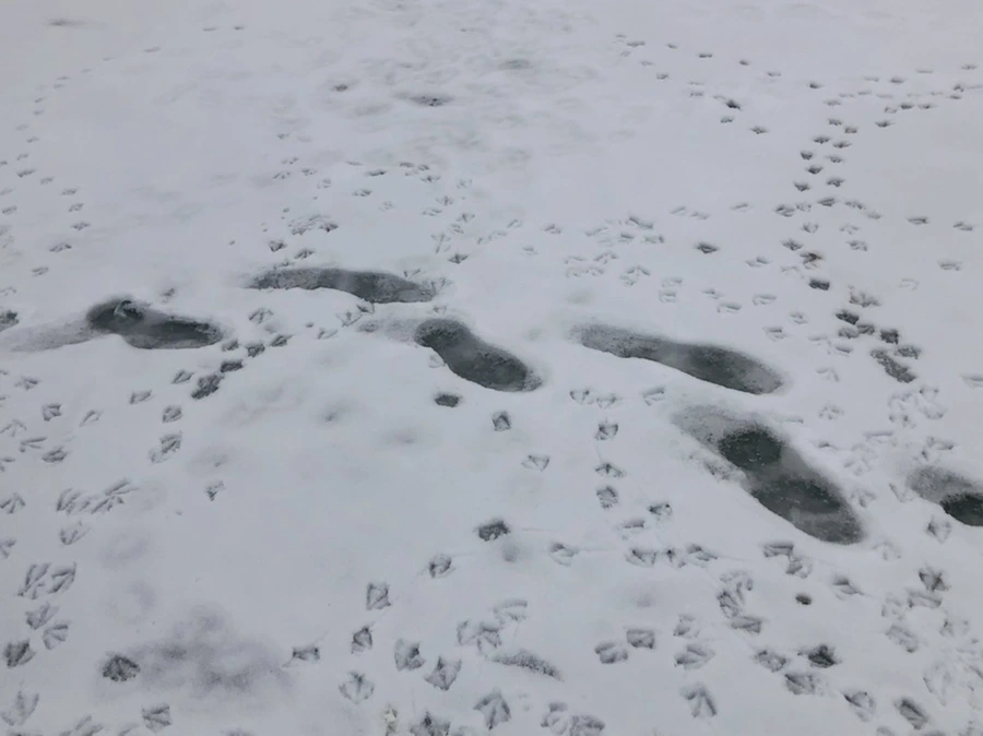 IMG_2568.jpg?type=w966