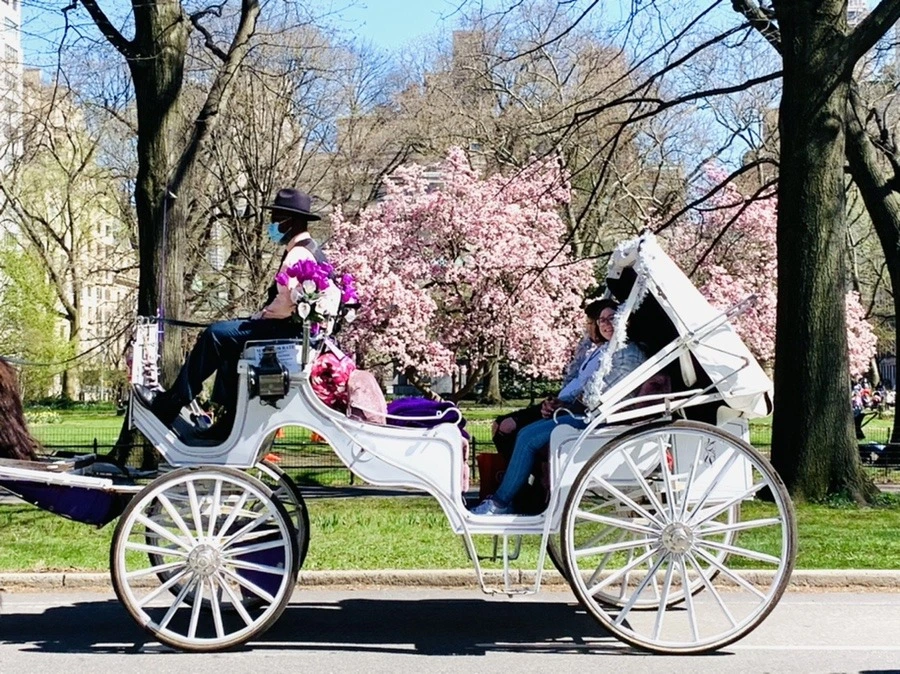 HikuWA59SscHXlMdpHVc2_sV8mw