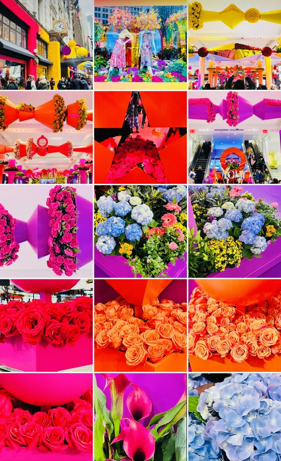 IMG_7698.jpg?type=w966