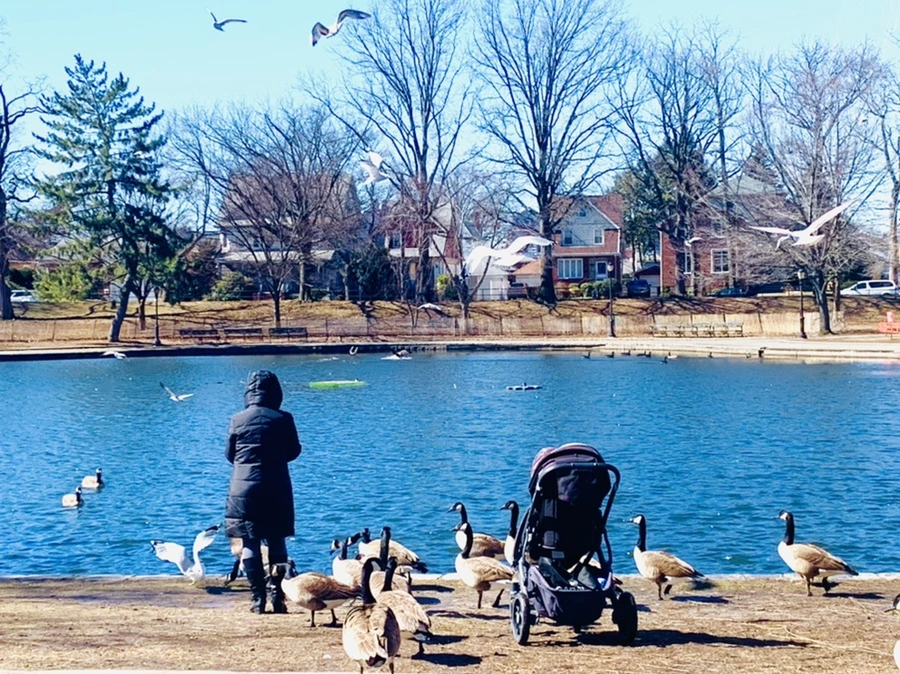 IMG_6680.jpg?type=w966