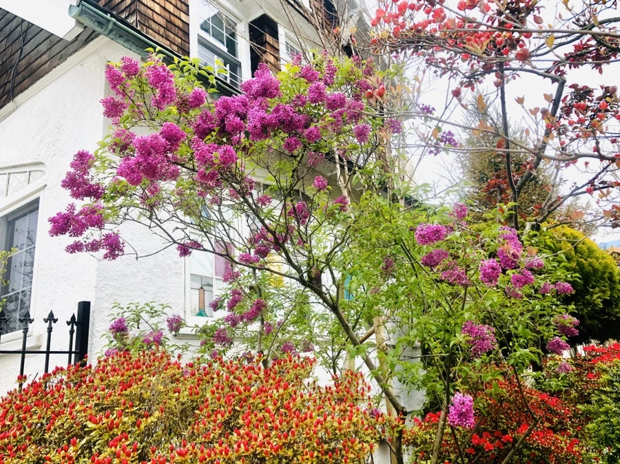 IMG_7155.jpg?type=w966