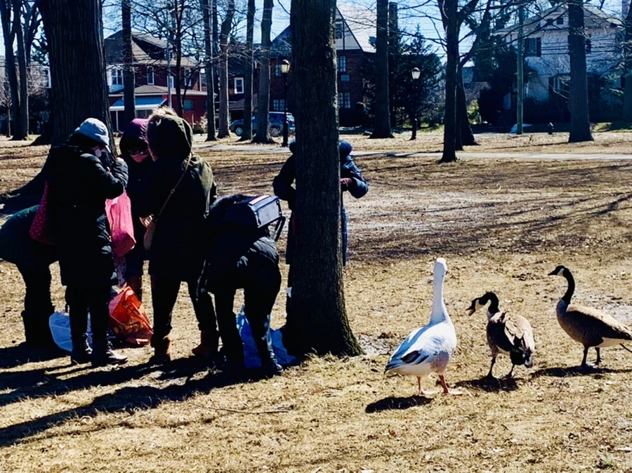 IMG_7537.jpg?type=w966