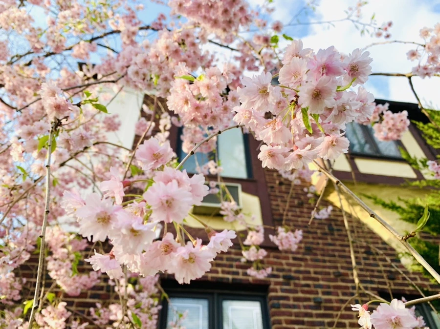 IMG_3784.jpg?type=w966