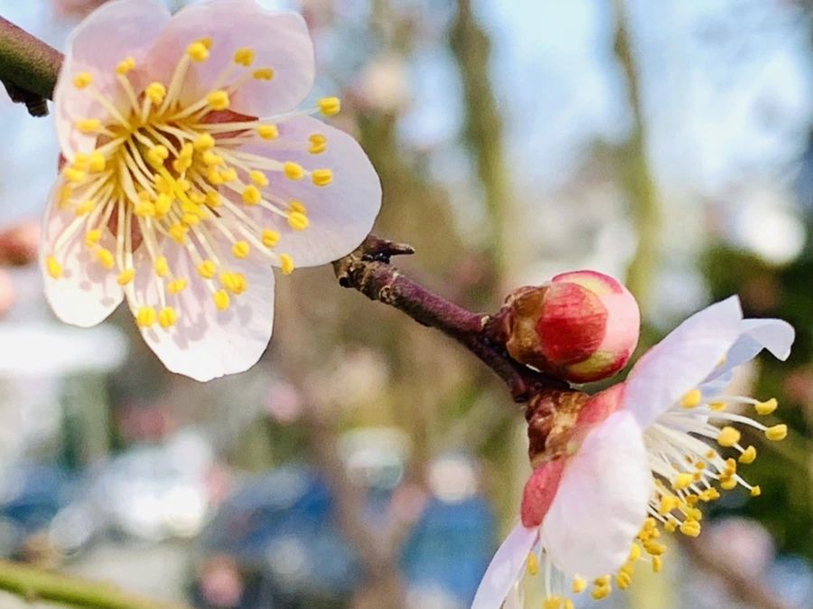 IMG_0257.jpg?type=w966