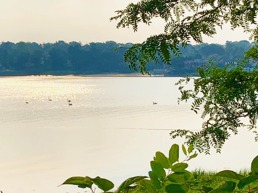 IMG_2224.jpg?type=w966