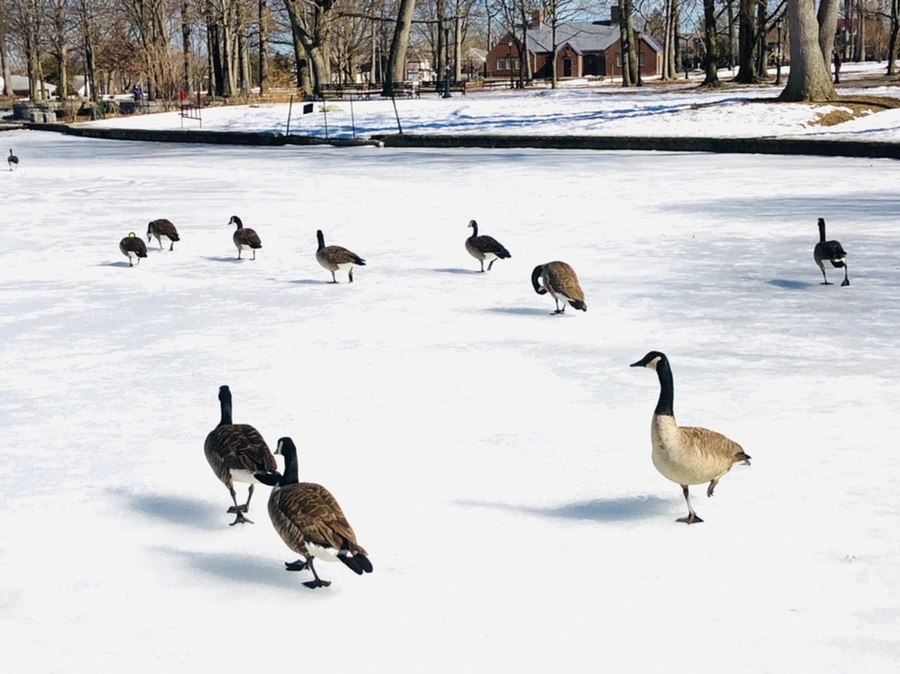 IMG_4903.jpg?type=w966