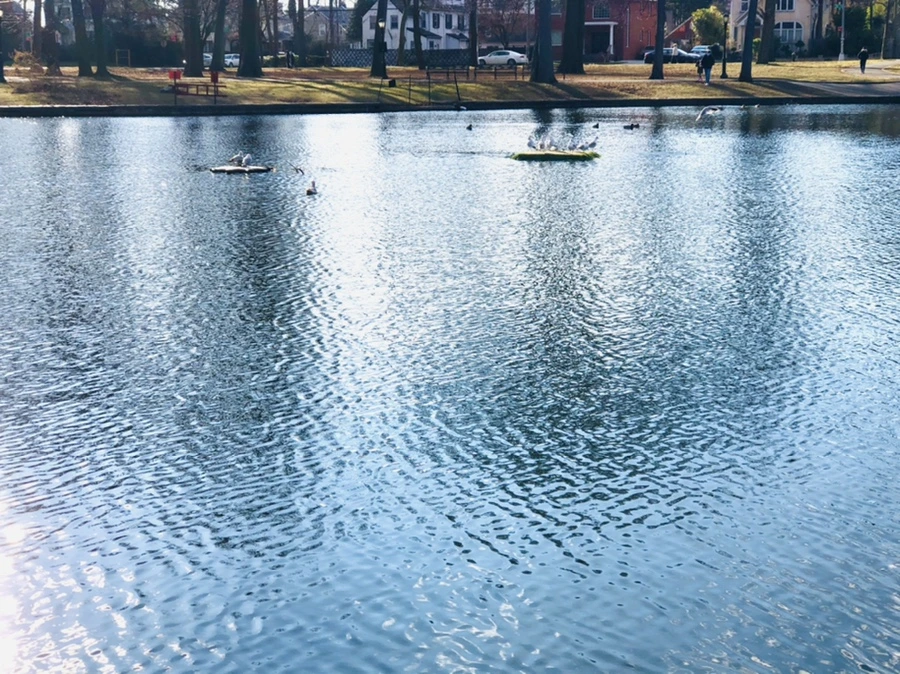 IMG_4141.jpg?type=w966