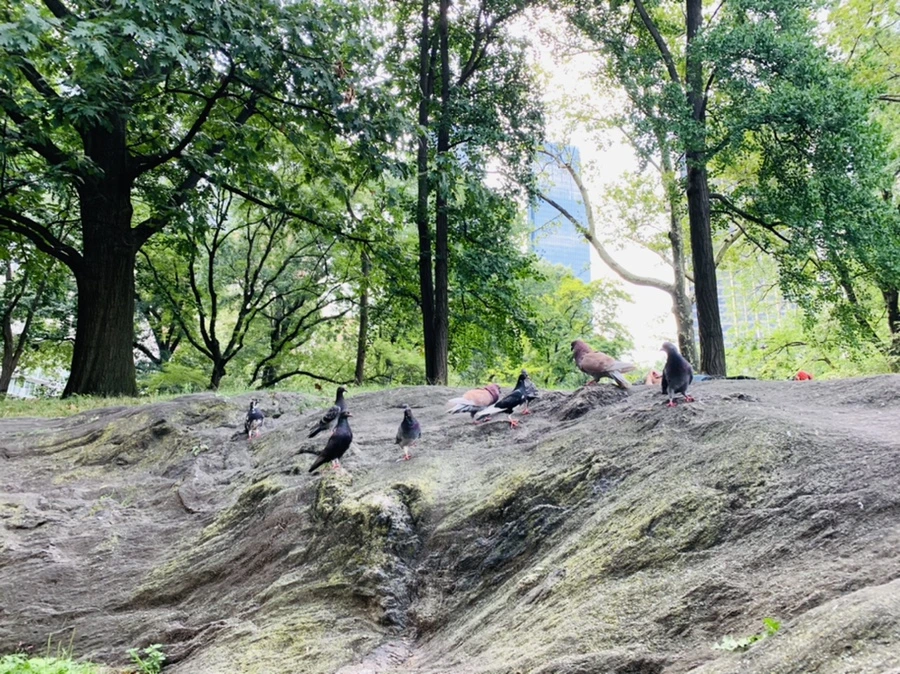 IMG_0562.jpg?type=w966