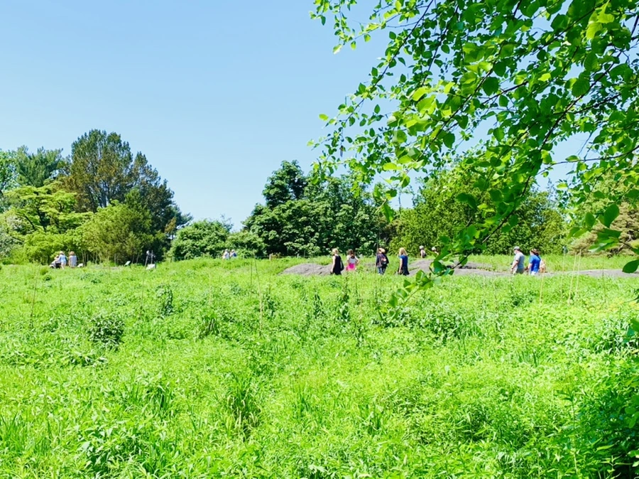 IMG_3643.jpg?type=w966