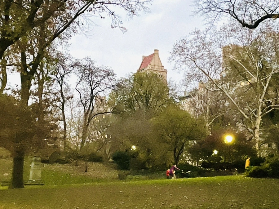 IMG_5229.jpg?type=w966